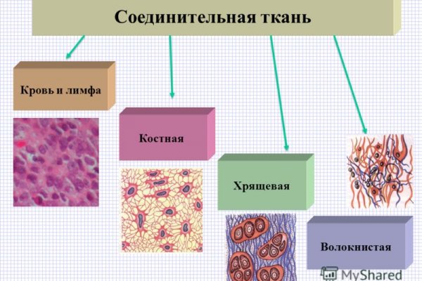 Ссылка кракен kraken torion net