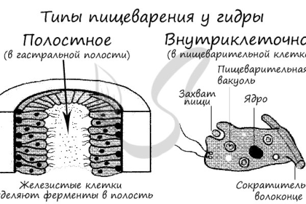 Кракен сайт купить наркотики