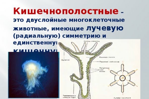 Кракен маркетплейс закрыли