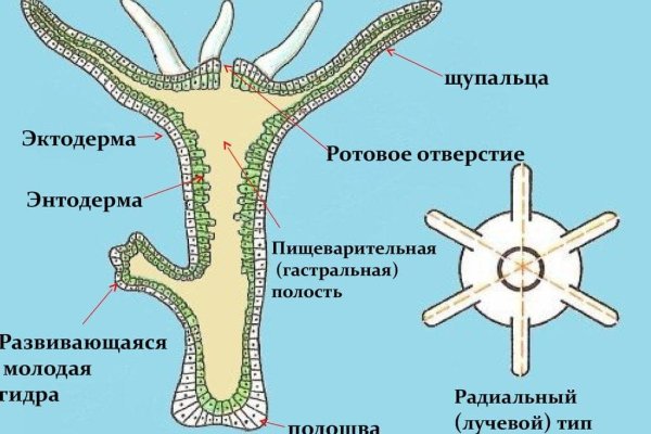 Кракен ссылка официальная