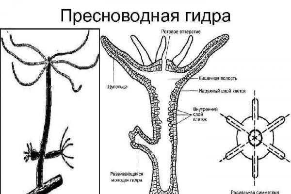 Кракен купить мефедрон