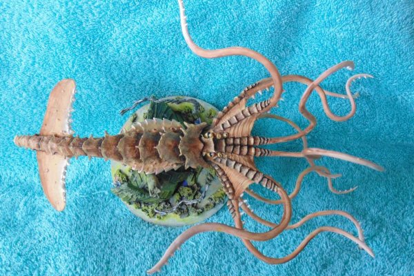 Kraken ссылка тг