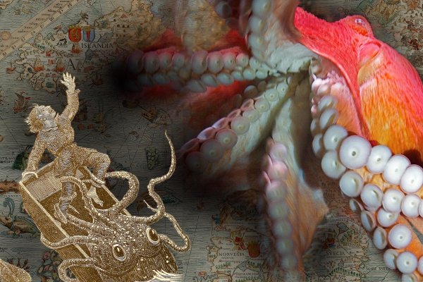 Kraken market зеркала