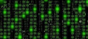 Регистрация на кракен